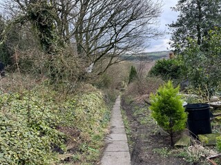 Wintertime with a footpath, leading past bushes, wild plants, and bare trees, towards a valley near Tong, Yorkshire, UK