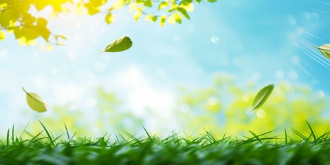 Vivid green leaves falling on a lush grass field under a sunny sky. Represents nature, spring, and freshness.