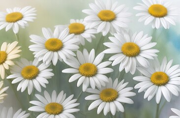 Lovely blossom daisy flowers background. Sunny meadow closeup. Daisies, wild herbs and flowers.