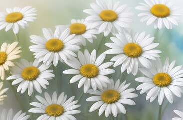 Fototapeta premium Lovely blossom daisy flowers background. Sunny meadow closeup. Daisies, wild herbs and flowers.