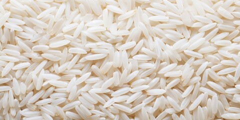 Rice Grains. A Veggie's Best Pal for Life