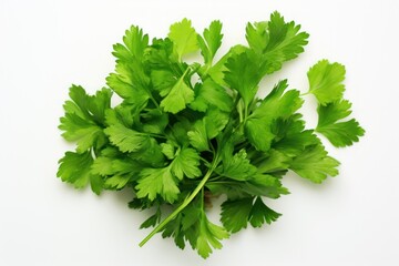 Fresh parsley on a white background. Top view