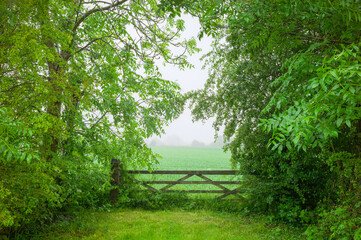 Closed farmgate flanked by trees and farmland on misty morning. Beverley, UK.