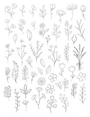Fototapeta premium Outline set with black and white rustic varied simple small flowers, plants and leaves isolated on white background. Watercolor hand drawn illustration