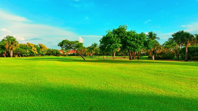 Lush fairways and golf courses in a tropical setting. Beautiful lawn landscape with lush green turf and palm trees. Golf course from tee-off green. Green field and blue sky.