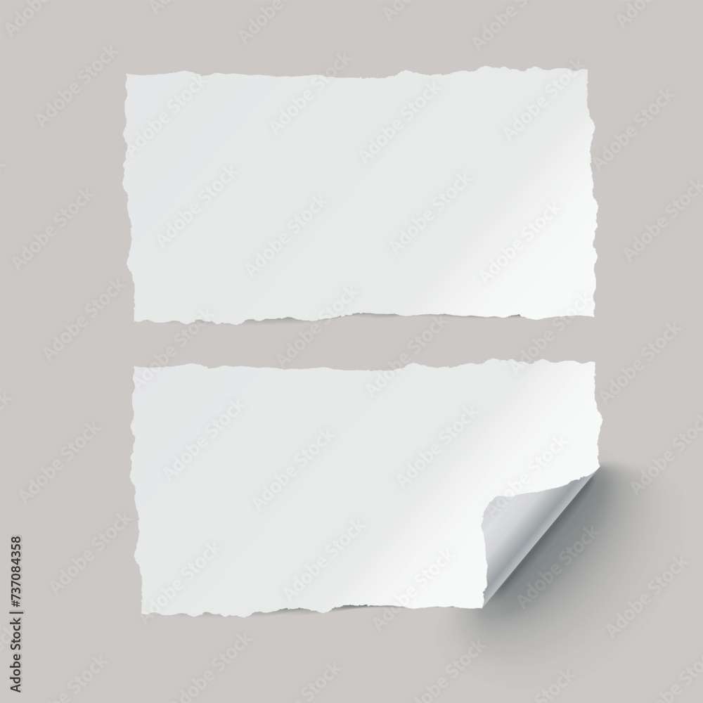 Wall mural vector white realistic paper adhesive stickers with curved corner and torn edges on transparent back