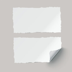 Vector white realistic paper adhesive stickers with curved corner and torn edges on transparent background.