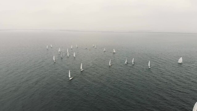 A wide shot of sloop sailboats in competition