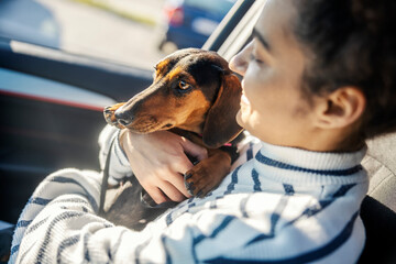 Close up of a dog sitting in a car with a girl.