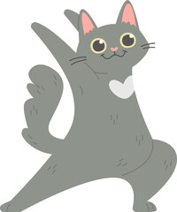 Cat Doing Exercises