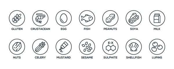 Simple Isolated Vector Logo Set Badge Ingredient Warning Label. Black and white Allergens icons. Food Intolerance. The 14 allergens required to declare written in english - obrazy, fototapety, plakaty