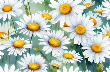Fototapeta premium Lovely blossom daisy flowers background. Sunny meadow closeup. Daisies, wild herbs and flowers.