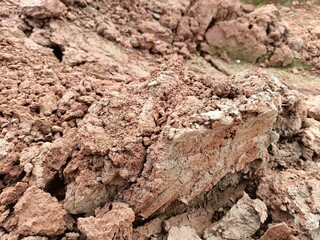 Stunning Images Showcasing the Beauty of Rich and Vibrant Soil