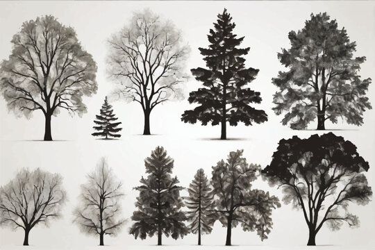 A black and white silhouette of a large tree. Tree element to create a group of plants somewhere isolated on white backgrounds vector.