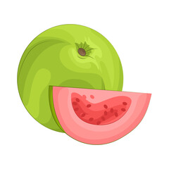 Illustration of guava 