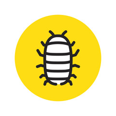 ダンゴムシ　だんご虫