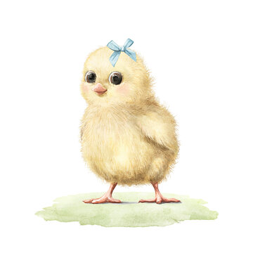 Cute vintage little yellow chick bird with blue bow on green meadow isolated on white background. Watercolor hand drawn illustration sketch
