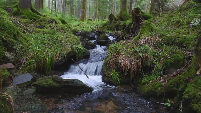 Tranquil Wilderness Escape: Serene Mountain Stream Amidst Verdant Forest. Pristine River Cascading Through Remote Wilderness. Tranquil Creek Meandering Through Verdant Woodland. Picturesque Mountain