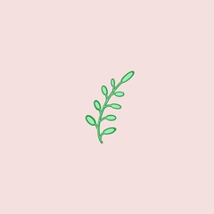 branch with leaves on a pink background
