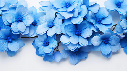 Close up of a bunch of blue flowers