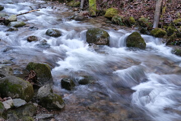 Fototapeta na wymiar Ruisseau Vosges