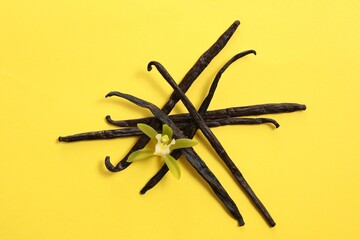 Vanilla pods and beautiful flower on yellow background, top view