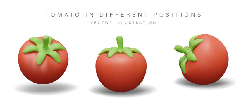 Ripe tomato in different positions. 3D red vegetable with green stem