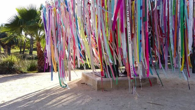 colourful ribbons swaying in the wind, a sunny day in the park. memorial to dead dogs