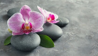 Fototapeta na wymiar spa stones and pink orchid flowers on gray background