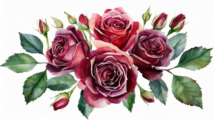 watercolor burgundy flowers floral illustration leaf and buds botanic composition for wedding greeting card branch of flowers abstraction roses