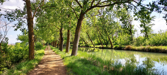path in the forest next to the river