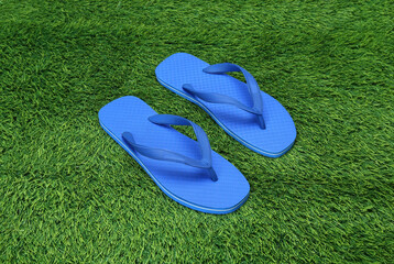 Blue flip flop pair isolated on the grass