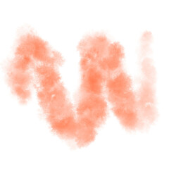 Fototapeta na wymiar heart made of pink petals isolated