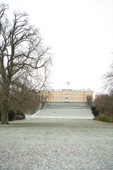 Vibrant nature in Denmark
