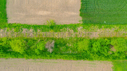 Overhead view on trace in overgrown ground of dismantled old railway wooden sleepers