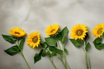 Bright Sunflowers on Concrete Background