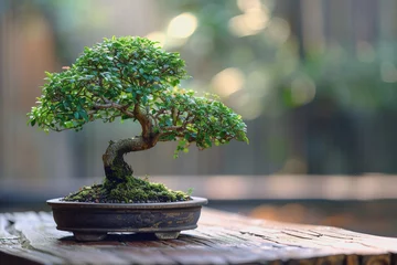 Fotobehang Traditional bonsai tree on a wooden oak table, calm atmosphere, minimalism, copy space. AI Generated © PHAISITSAWAN