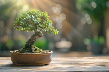 Fotobehang Traditional bonsai tree on a wooden oak table, calm atmosphere, minimalism, copy space. AI Generated © PHAISITSAWAN