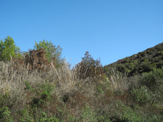 Immagini della natura in Sardegna