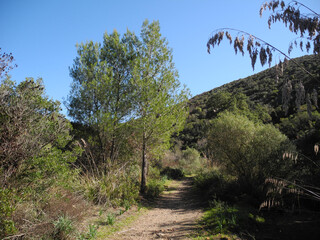 Immagini della natura in Sardegna