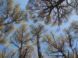 Immagini della natura in Sardegna