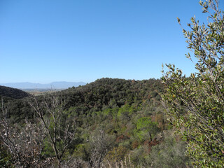 Immagini della natura in Sardegna