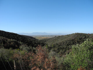 Immagini della natura in Sardegna
