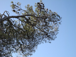 Immagini della natura in Sardegna