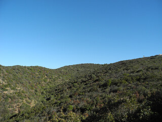 Immagini della natura in Sardegna