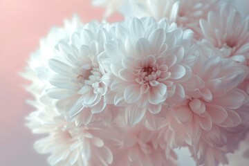 Obraz na płótnie Canvas White Monochromatic Compositions Chrysantha Flowers in Organic Bouquet Texture - Irridescent Soft Tonal Art Close Up Vintage Inspired Background created with Generative AI Technology