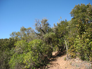 Immagini della natura in Sardegna
