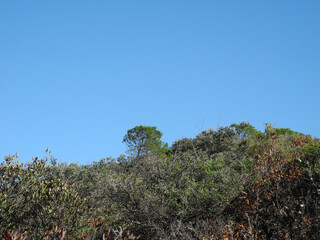Immagini della natura in Sardegna