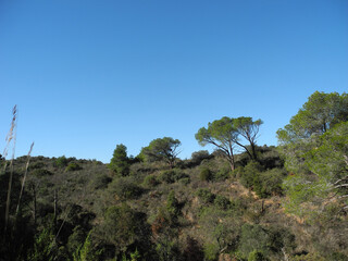 Natura di Sardegna