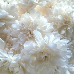 Fototapeta na wymiar White Monochromatic Compositions Chrysantha Flowers in Organic Bouquet Texture - Irridescent Soft Tonal Art Close Up Vintage Inspired Background created with Generative AI Technology